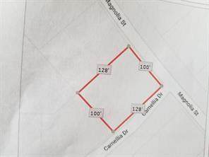 lot 80 Nar - Photo 1