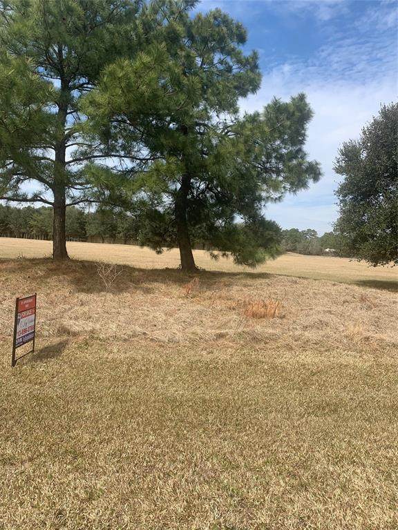 Lot 4 Meadow Lake - Photo 1