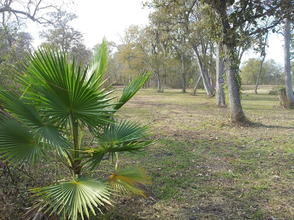 32 Tierra Grande Drive - Photo 1