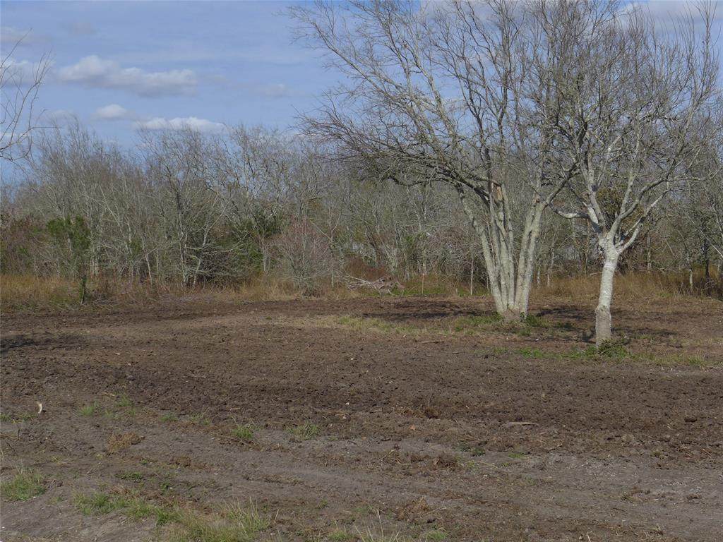 242 Mulberry - Photo 1