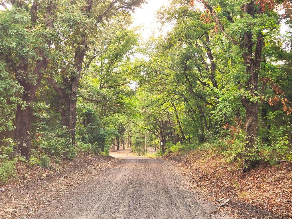 0 County Road 4710 Lot 465 - Photo 1