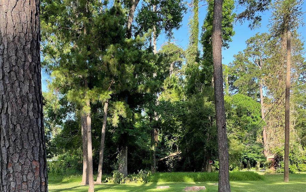 15952 Malibu - Photo 1