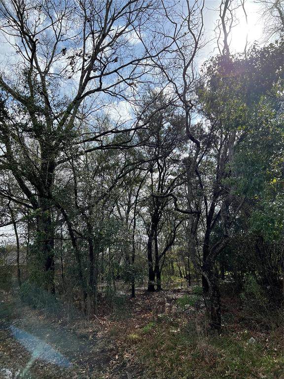 00 Red Bluff Road - Photo 1