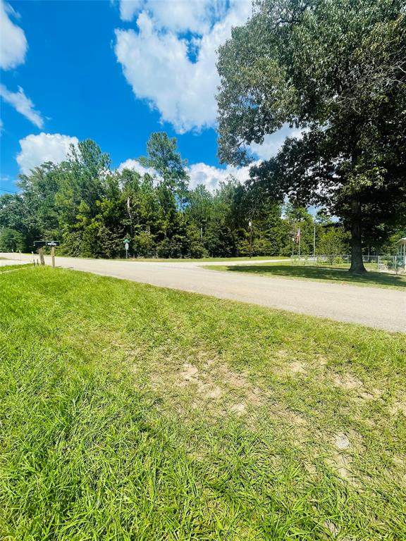 000 Lost Lake Trail - Photo 1