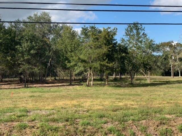2602 County Road 160 Lot 24 - Photo 1