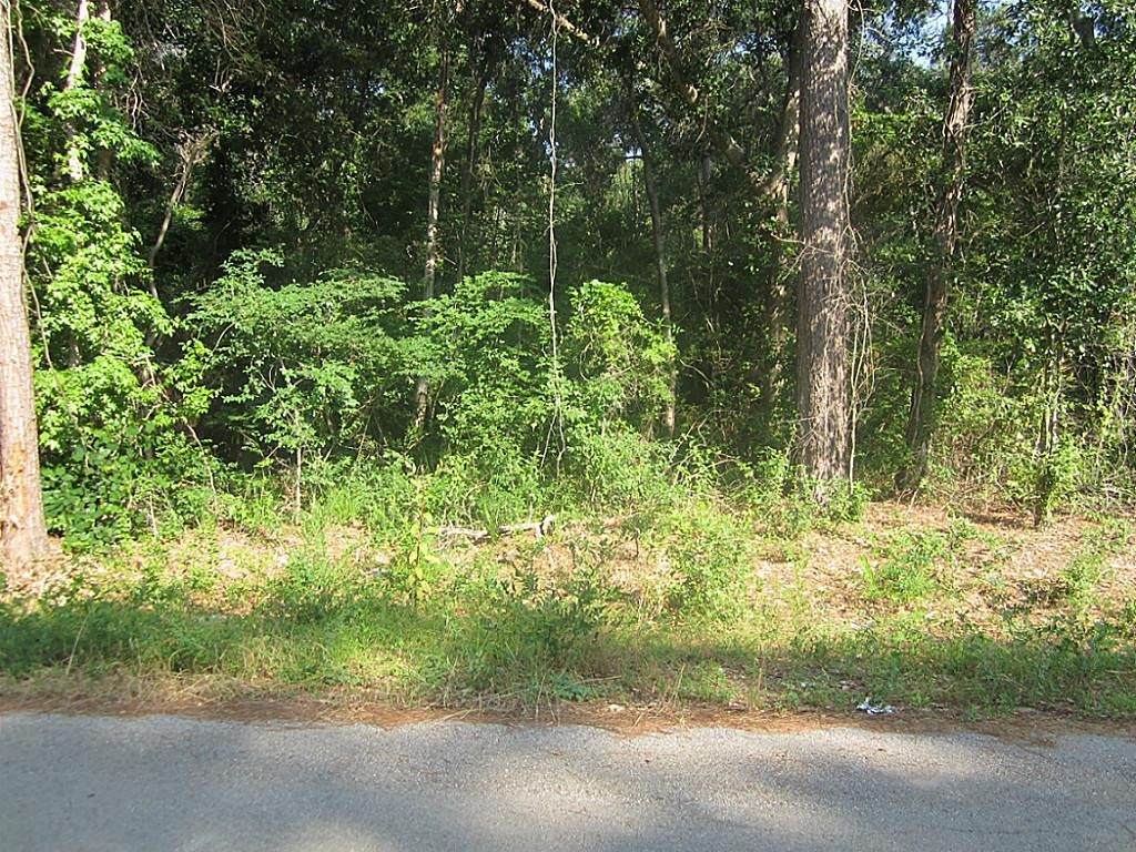 31127 Primrose Lane - Photo 1