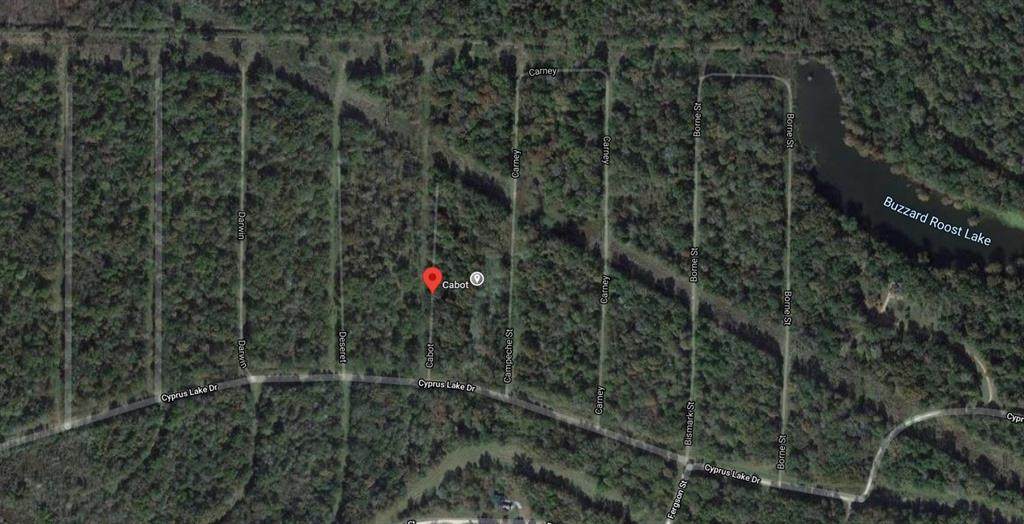 - Cabot Drive - Photo 1
