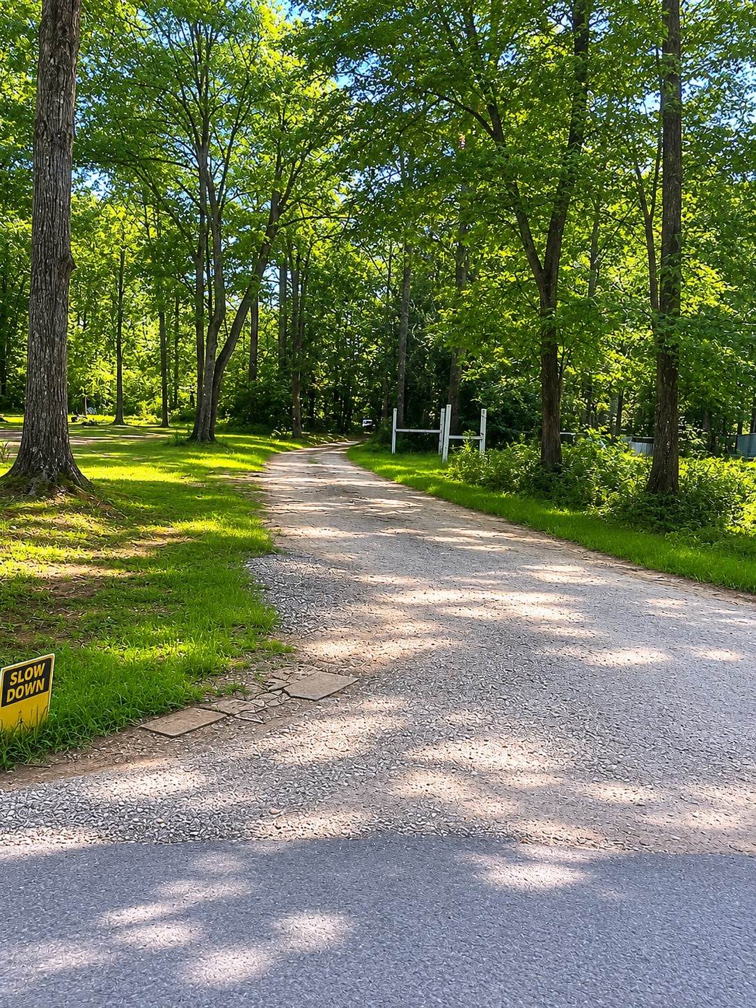 47 Phelps Creek Drive - Photo 1