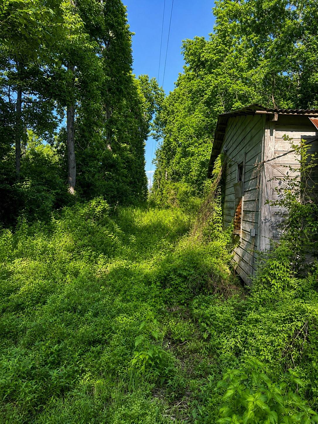 https://bt-photos.global.ssl.fastly.net/harmls/orig_boomver_1_23558444-2.jpg