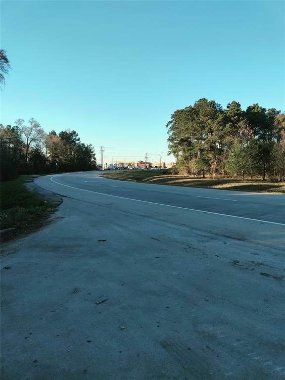 TBD I-45 And Long Street Road - Photo 1