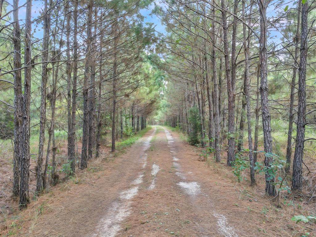 1496 Perkins Ranch Road - Photo 1