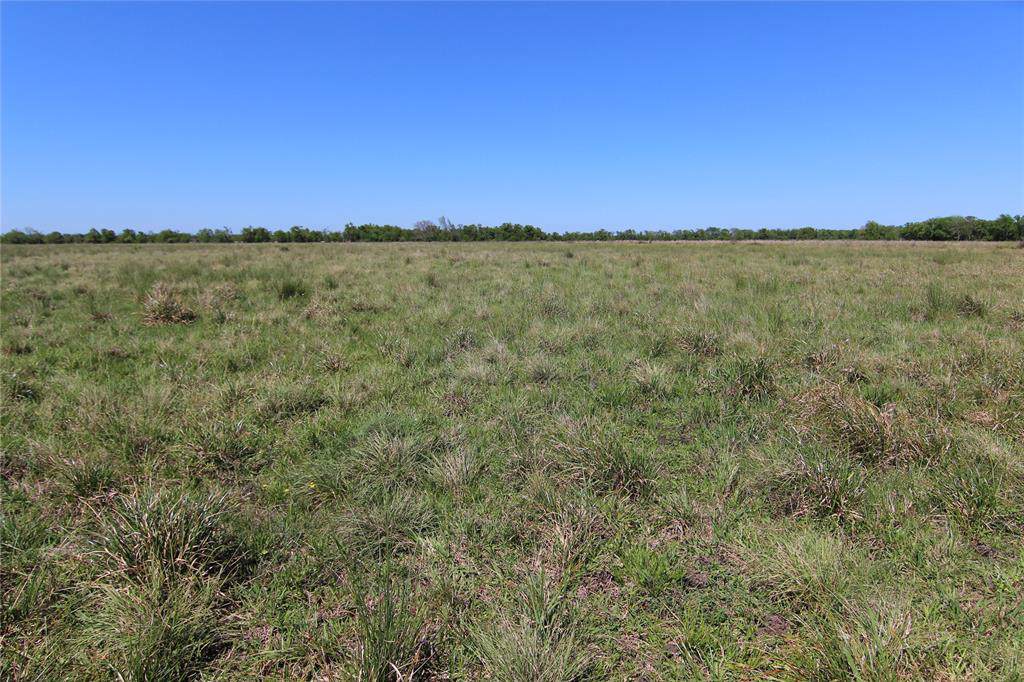 0 County Road 602 - Photo 1