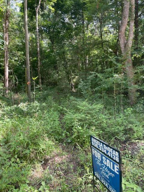 TBD Buck Creek Road - Photo 1