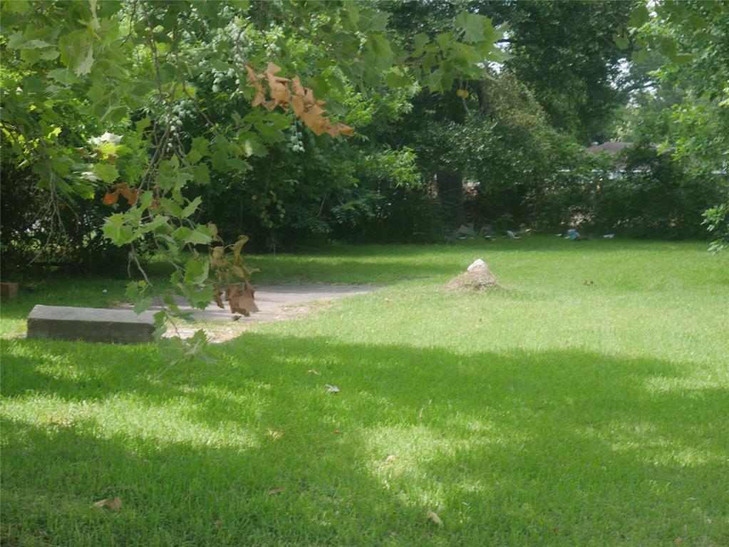 7501 Springdale Street - Photo 1