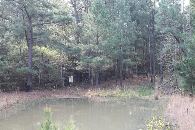 5090 Fm 1511 - Photo 1