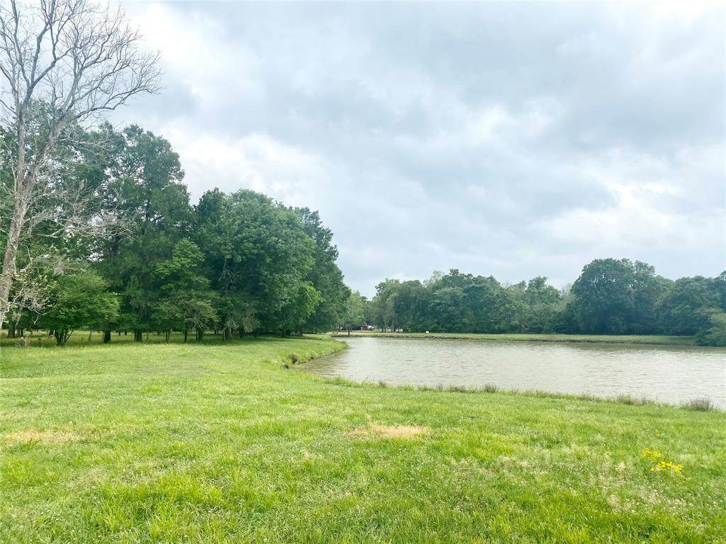 TBD Lake Court - Photo 1