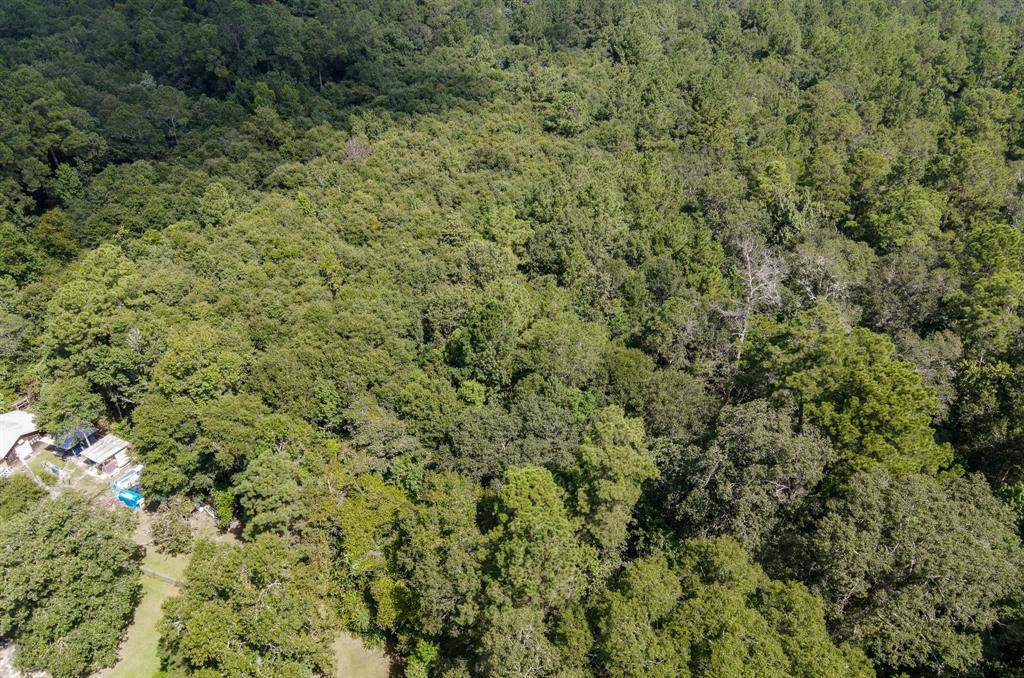 0 County Road 388 - Photo 1
