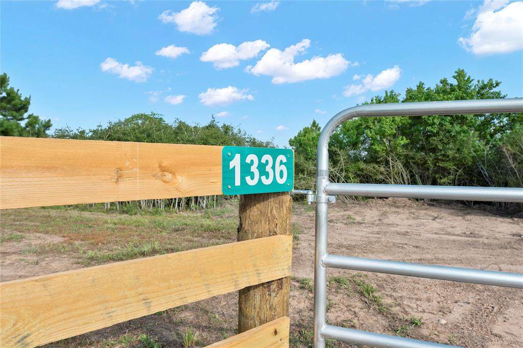 1336 Piney Woods Road - Photo 1