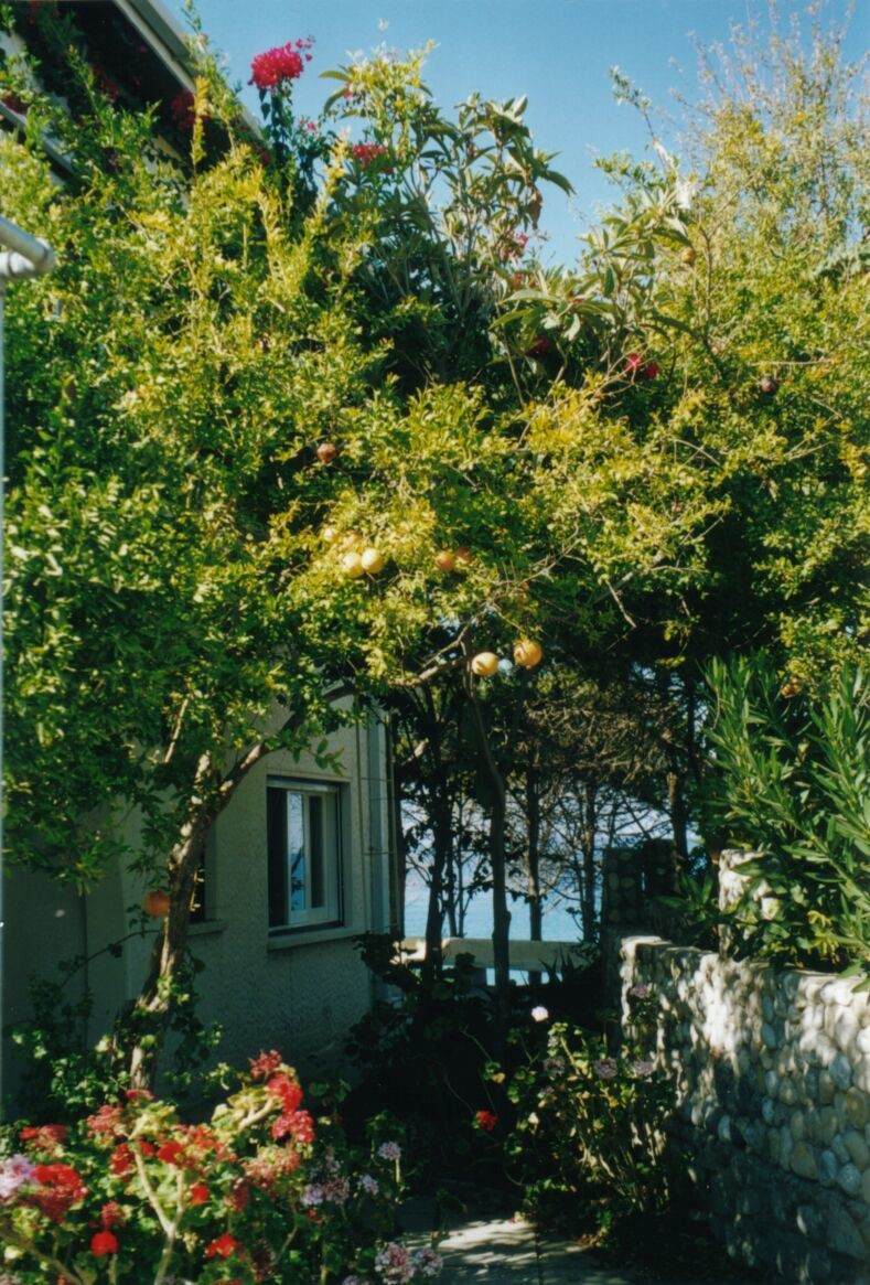 https://bt-photos.global.ssl.fastly.net/harmls/orig_boomver_1_23923556-2.jpg