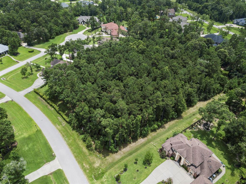 27503 Ossineke Drive - Photo 1