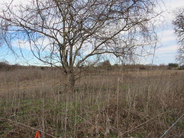 Lot 3 County Rd 249 - Photo 1 Lot 3 County Rd 249 - Photo 1