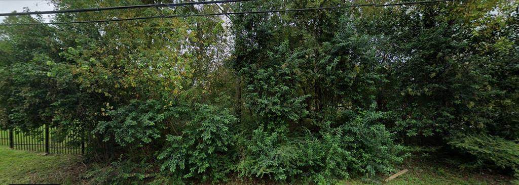 5350 Acres Drive - Photo 1