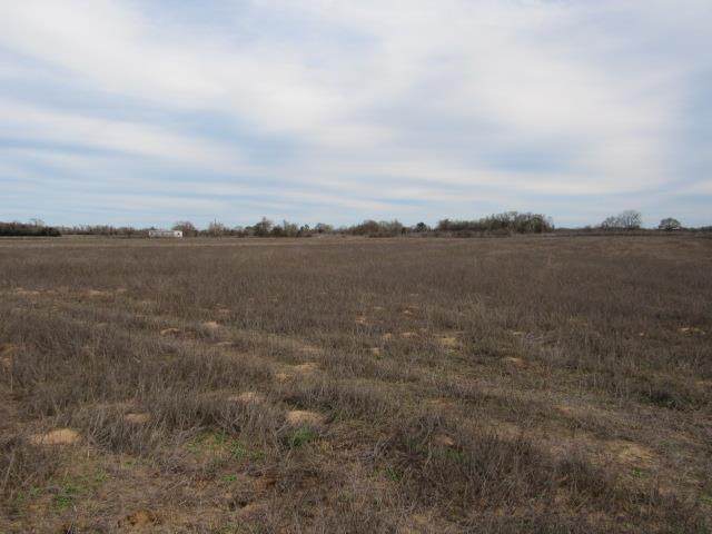 Lot 4 County Rd 249 - Photo 1 Lot 4 County Rd 249 - Photo 1
