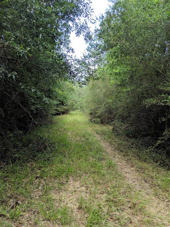 TBD Whispering Pines Drive - Photo 1