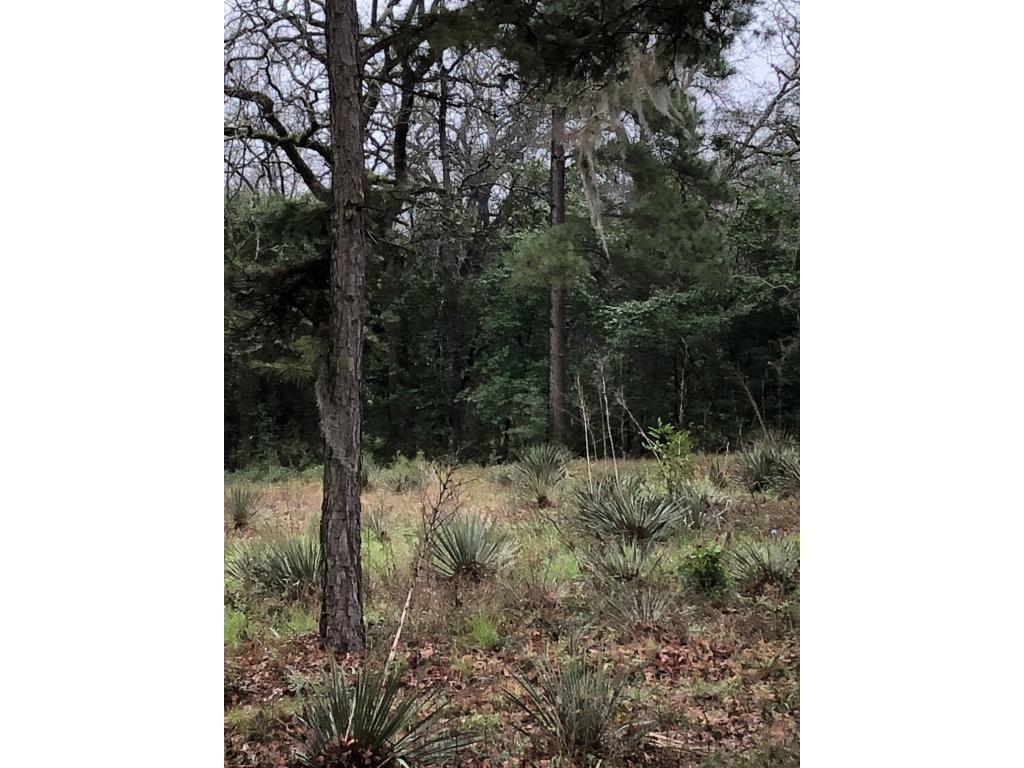 41.7 Old Tyler Road - Photo 1