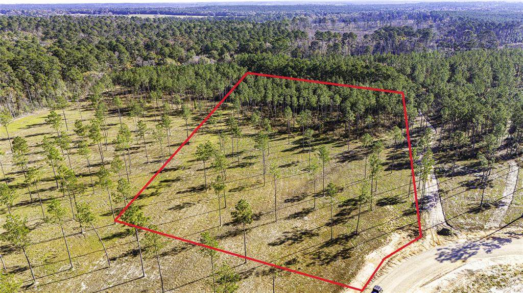 0019 Big Buck Drive - Photo 1