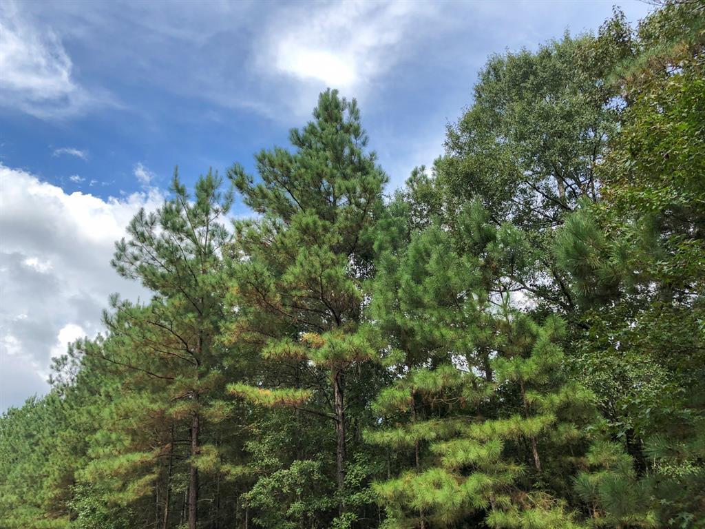 0 County Line Road - Photo 1