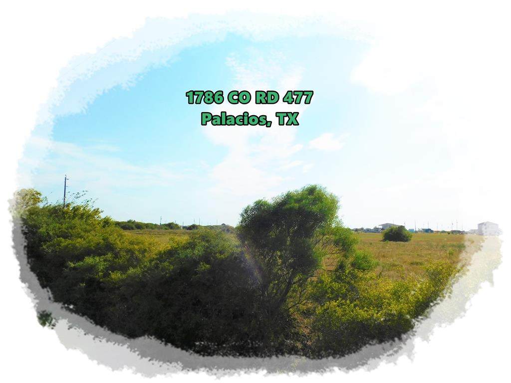 1786 County Road 477 - Photo 1