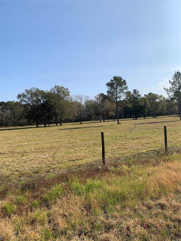 lot 1 Moore Rd Estates - Photo 1