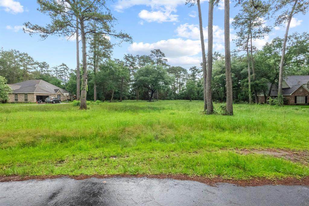 22610 Trailwood Lane - Photo 1