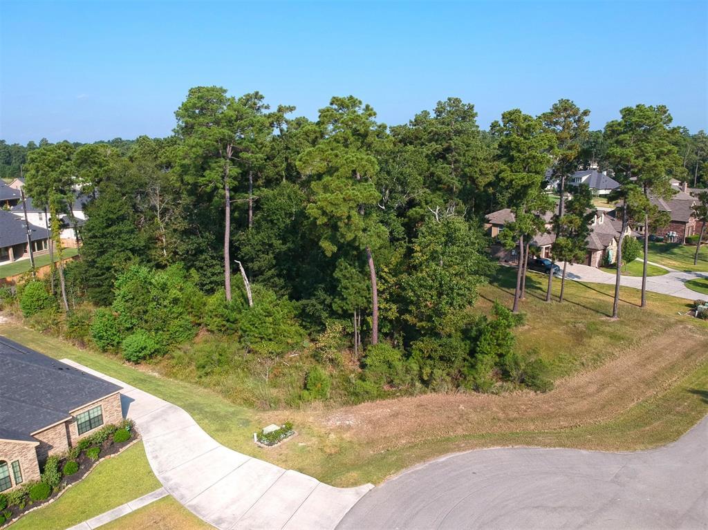 27807 Golden Oak Chase Court - Photo 1
