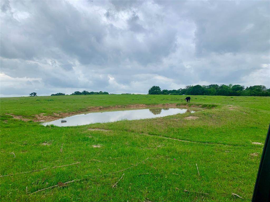 TBD Shelby Road - Photo 1