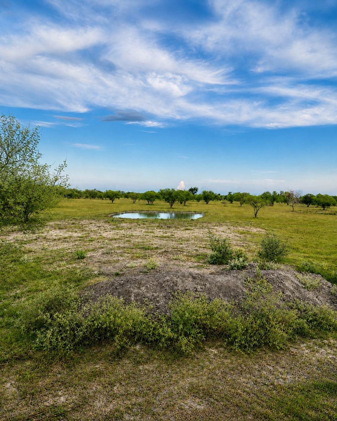 13510 Moody Road - Photo 1