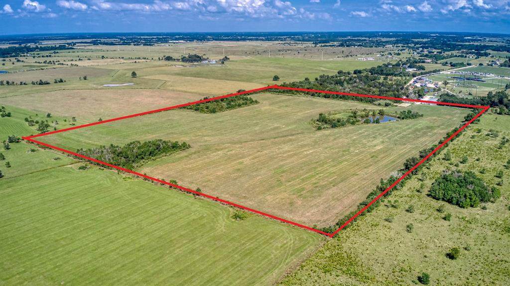 33753 Betka Road - Photo 1