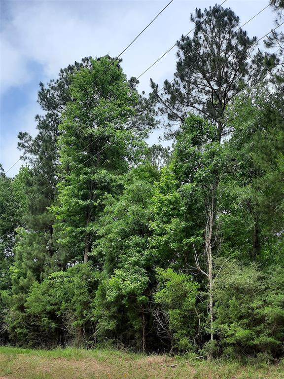 0000 Spring Ridge Rd - Photo 1