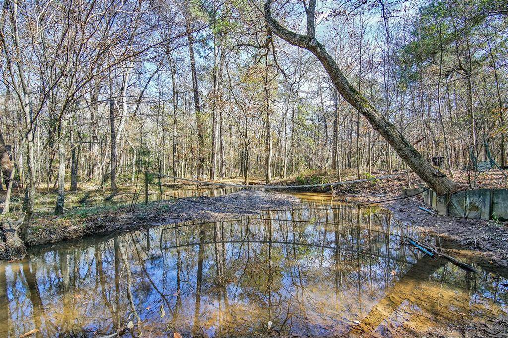 17690 Peach Creek Drive - Photo 1