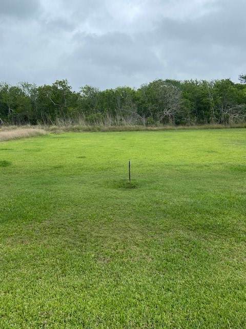 0 County Road 257 River Bend Road - Photo 1