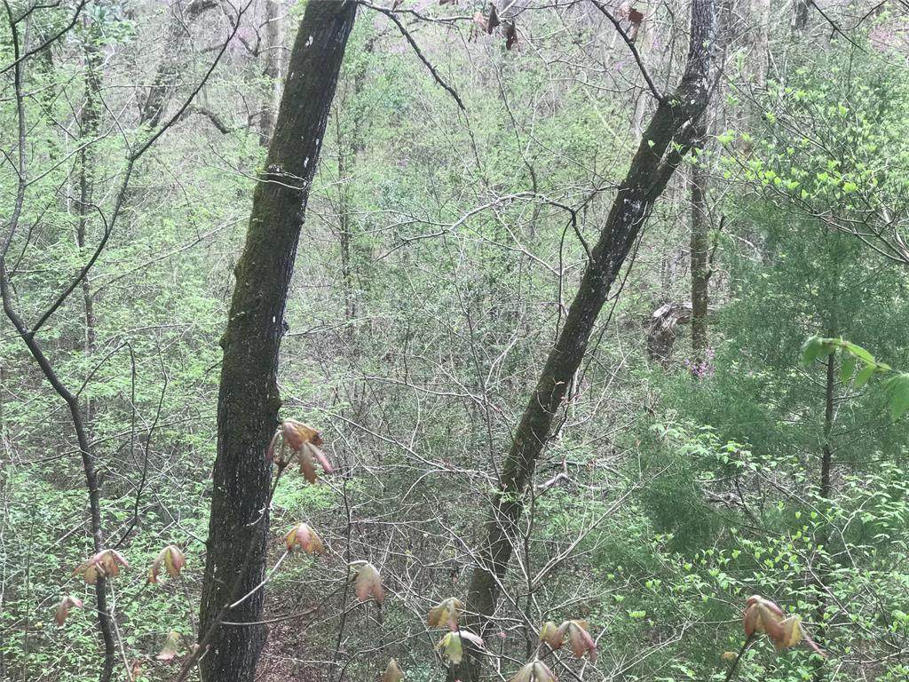 33.2+/- Off Hwy 190 - Photo 1
