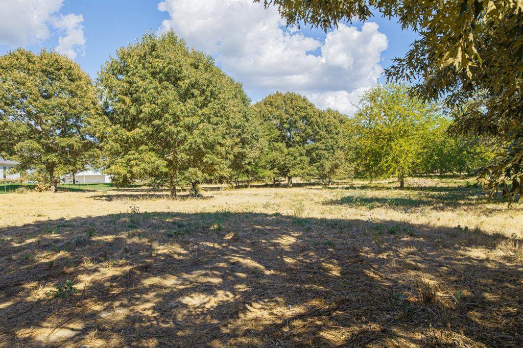 14706 County Road 424 - Photo 1