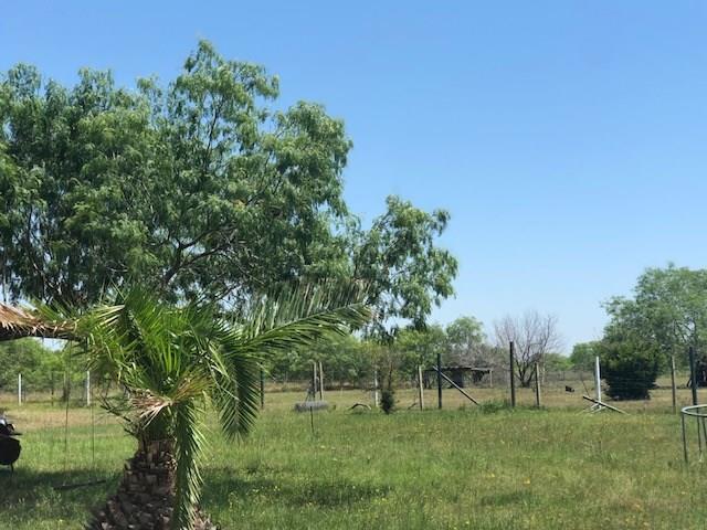 38235 Zadelsky Road - Photo 1