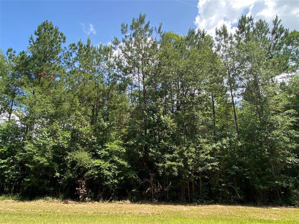 00 County Road 2307 Miller Road - Photo 1