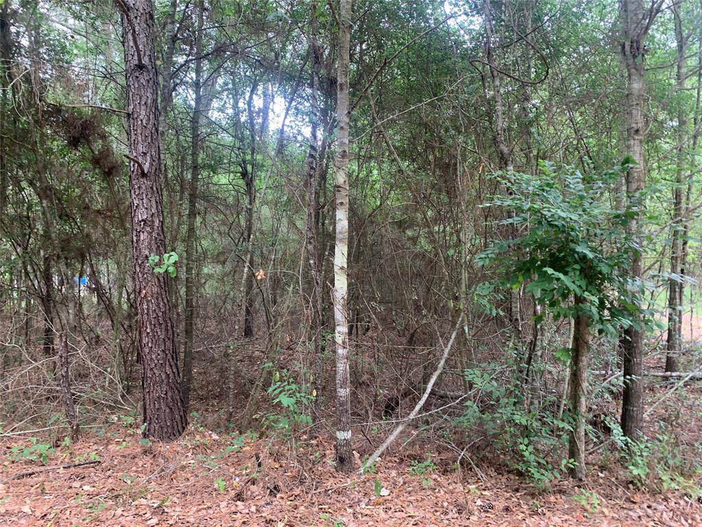 001 Pin Oak Drive - Photo 1