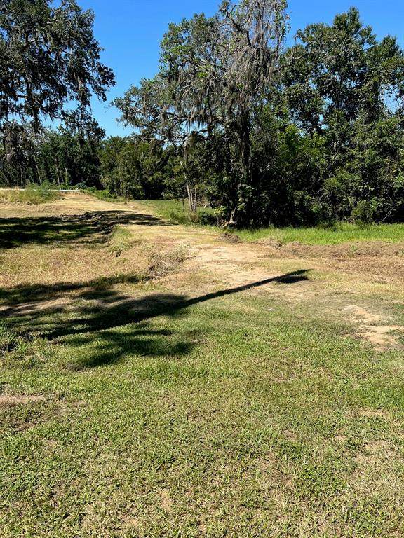 320 Turning Bayou Trail - Photo 1