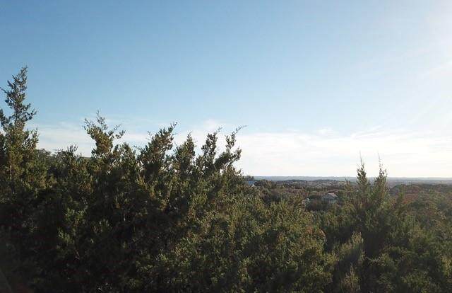 195 Bluebonnet Breeze - Photo 1