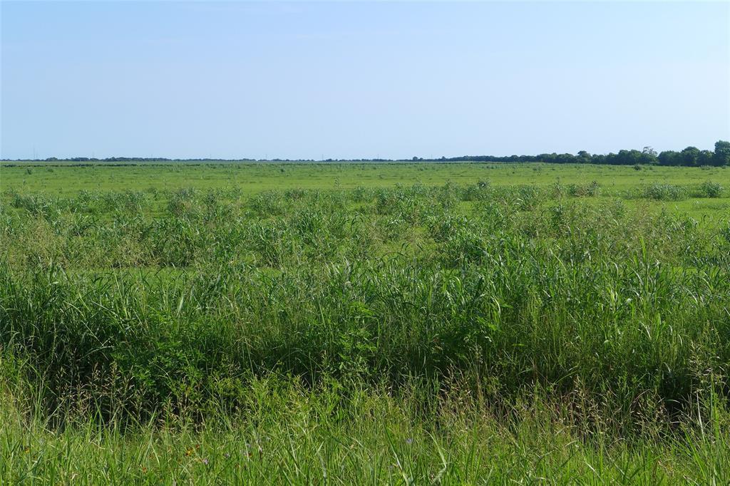 0 Old Gulf Road - Photo 1