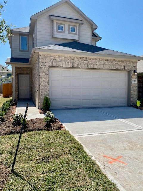 12916 Marciano Street - Photo 1